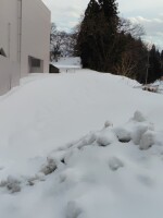 842 x 1122 x 113,396バイト <この画像は大きいので別画面で表示します>