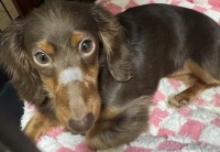 1179 x 815 x 204,685バイト <この画像は大きいので別画面で表示します>