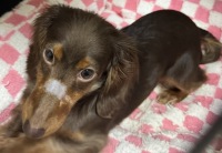 989 x 683 x 119,570バイト