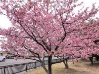 1440 x 1080 x 452,779�o�C�g �����̉摜�͑傫���̂ŕʉ�ʂŕ\�����܂���