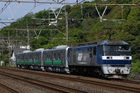 800 x 532 x 379,637バイト