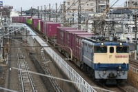 800 x 532 x 203,816�o�C�g