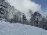 1024 x 768 x 79,501�o�C�g