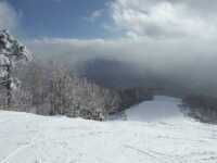 1024 x 768 x 59,043�o�C�g