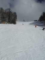 768 x 1024 x 49,785�o�C�g �����̉摜�͑傫���̂ŕʉ�ʂŕ\�����܂���