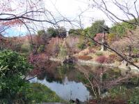 1000 x 750 x 199,481oCg