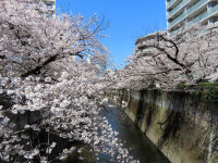 1000 x 750 x 317,661oCg
