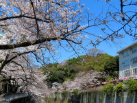 1000 x 750 x 340,351oCg
