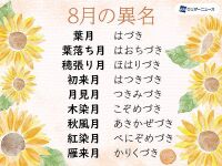 800 x 600 x 136,186oCg