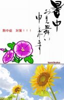 800 x 1263 x 124,595oCg ̉摜͑傫̂ŕʉʂŕ\܂