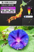 800 x 1210 x 230,945oCg ̉摜͑傫̂ŕʉʂŕ\܂
