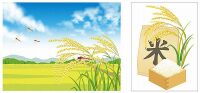 800 x 372 x 67,818oCg