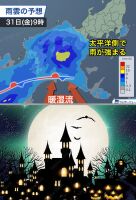 800 x 1180 x 192,148oCg ̉摜͑傫̂ŕʉʂŕ\܂