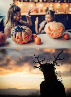 800 x 1097 x 112,317oCg ̉摜͑傫̂ŕʉʂŕ\܂