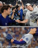 800 x 1015 x 169,659oCg ̉摜͑傫̂ŕʉʂŕ\܂