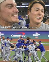 800 x 1010 x 181,820oCg ̉摜͑傫̂ŕʉʂŕ\܂