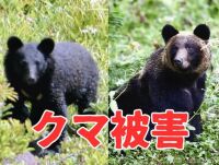 800 x 605 x 99,605oCg