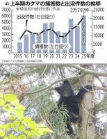 800 x 1036 x 247,225oCg ̉摜͑傫̂ŕʉʂŕ\܂