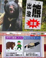 800 x 996 x 174,390oCg ̉摜͑傫̂ŕʉʂŕ\܂