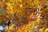 800 x 549 x 145,169oCg