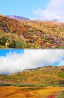 800 x 1210 x 299,251oCg ̉摜͑傫̂ŕʉʂŕ\܂