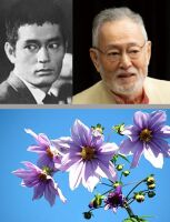 700 x 917 x 98,195oCg ̉摜͑傫̂ŕʉʂŕ\܂