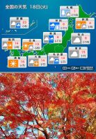 800 x 1160 x 301,983oCg ̉摜͑傫̂ŕʉʂŕ\܂