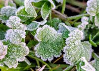 800 x 576 x 112,844oCg