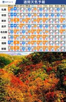 800 x 1223 x 364,045oCg ̉摜͑傫̂ŕʉʂŕ\܂