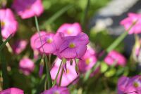 800 x 534 x 70,041oCg