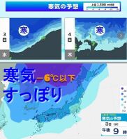 800 x 877 x 97,799oCg ̉摜͑傫̂ŕʉʂŕ\܂