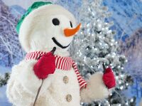 800 x 595 x 81,886�o�C�g