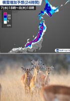 800 x 1145 x 137,200�o�C�g �����̉摜�͑傫���̂ŕʉ�ʂŕ\�����܂���