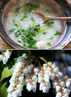 800 x 1092 x 135,544�o�C�g �����̉摜�͑傫���̂ŕʉ�ʂŕ\�����܂���