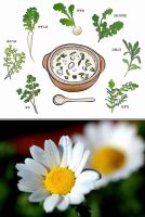 800 x 1190 x 160,702�o�C�g �����̉摜�͑傫���̂ŕʉ�ʂŕ\�����܂���