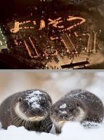 800 x 1084 x 201,943�o�C�g �����̉摜�͑傫���̂ŕʉ�ʂŕ\�����܂���