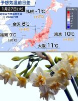 700 x 904 x 114,542�o�C�g �����̉摜�͑傫���̂ŕʉ�ʂŕ\�����܂���