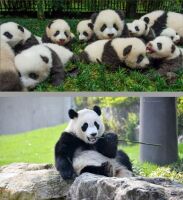 700 x 764 x 118,232�o�C�g