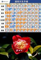 700 x 1018 x 205,604�o�C�g �����̉摜�͑傫���̂ŕʉ�ʂŕ\�����܂���