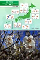 700 x 1054 x 125,909�o�C�g �����̉摜�͑傫���̂ŕʉ�ʂŕ\�����܂���