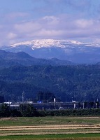 733 x 1024 x 193,297�o�C�g �����̉摜�͑傫���̂ŕʉ�ʂŕ\�����܂���