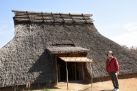 1024 x 683 x 354,935�o�C�g