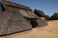 1024 x 683 x 370,898�o�C�g