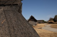 1024 x 683 x 339,022�o�C�g