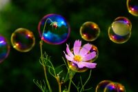 660 x 440 x 34,606oCg