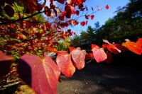 660 x 440 x 69,795oCg