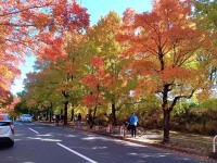 720 x 540 x 154,622oCg