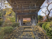 352 x 264 x 78,546oCg