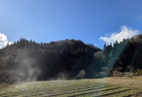 754 x 518 x 163,640�o�C�g