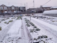 720 x 540 x 107,606�o�C�g